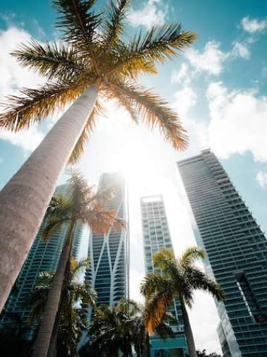 Miami Heat Vacation